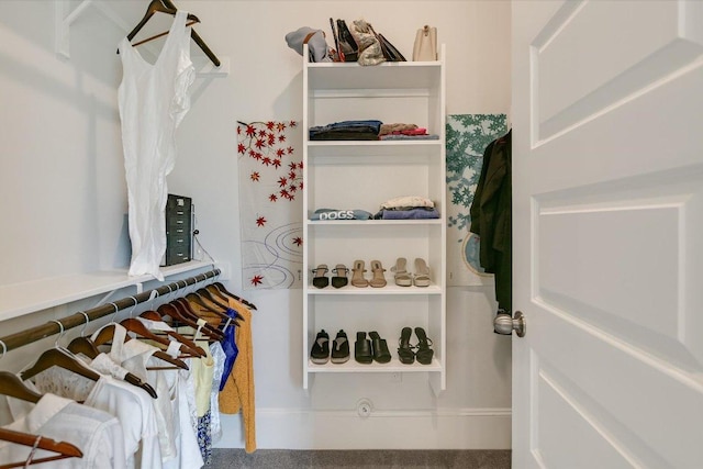 604 Rawson Bnd, Austin, TX 78738 - view of walk in closet