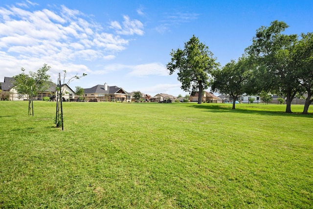 121 Gloria Blvd, Smithville, TX 78957 - view of green lawn featuring a residential view