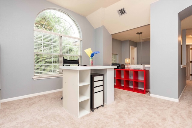 1006 Savanna Ln, Cedar Park, TX 78613 - office area featuring carpet, vaulted ceiling, and baseboards
