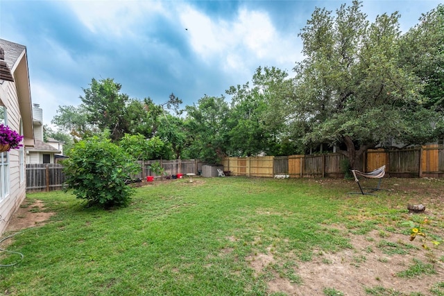 1006 Savanna Ln, Cedar Park, TX 78613 - view of yard