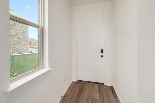 4923 Mozzafiato Ln, Round Rock, TX 78665 - entryway featuring wood finished floors, plenty of natural light, and baseboards