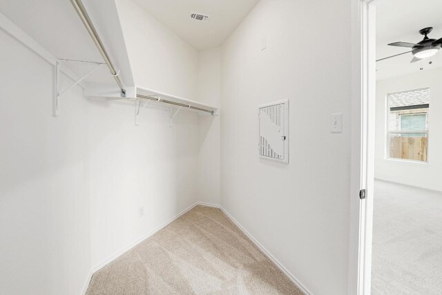 4923 Mozzafiato Ln, Round Rock, TX 78665 - walk in closet featuring carpet flooring and ceiling fan