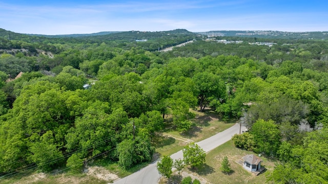11824 Pecan Dr, Jonestown, TX 78645