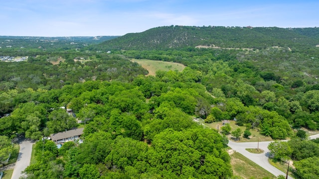 11824 Pecan Dr, Jonestown, TX 78645