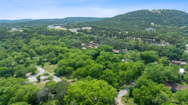 11824 Pecan Dr, Jonestown, TX 78645