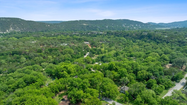 11824 Pecan Dr, Jonestown, TX 78645