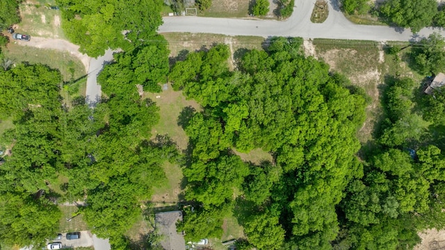 11824 Pecan Dr, Jonestown, TX 78645