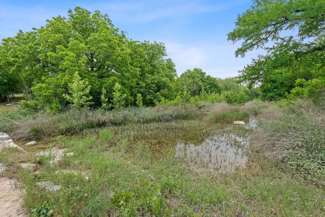 11824 Pecan Dr, Jonestown, TX 78645