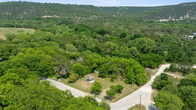 11824 Pecan Dr, Jonestown, TX 78645