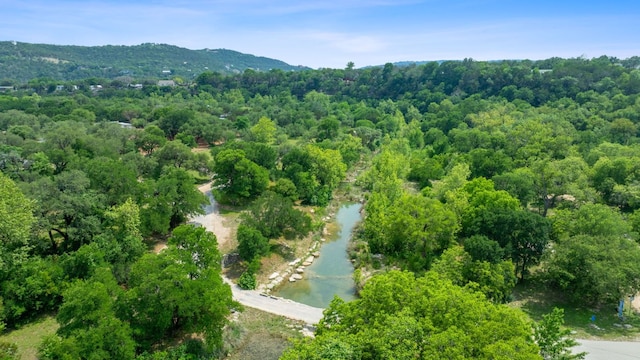 11824 Pecan Dr, Jonestown, TX 78645