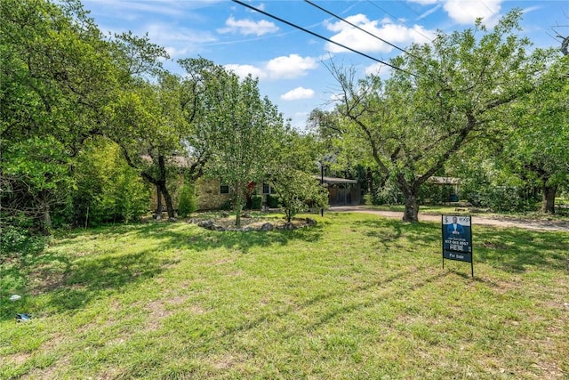 206 S Mustang Ave, Cedar Park, TX 78613 - photo 31