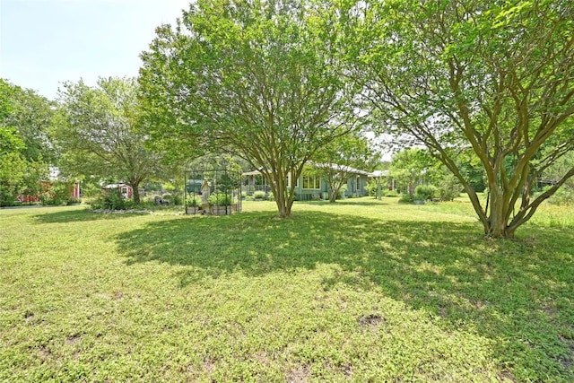 10908 Slaughter Creek Dr, Austin, TX 78748 - view of grassy yard