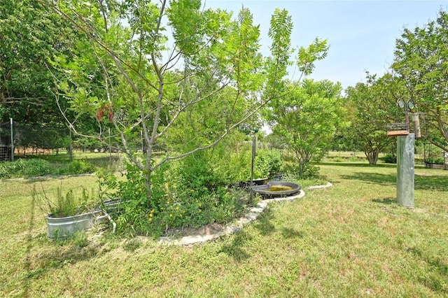 10908 Slaughter Creek Dr, Austin, TX 78748 - view of grassy yard