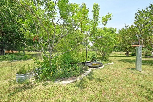 10908 Slaughter Creek Dr, Austin, TX 78748 - view of grassy yard