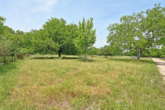 10908 Slaughter Creek Dr, Austin, TX 78748 - view of yard