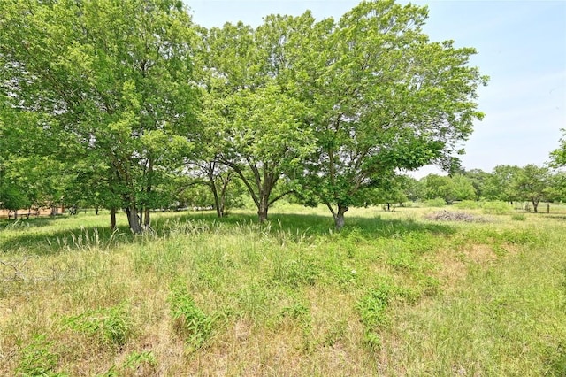 10908 Slaughter Creek Dr, Austin, TX 78748 - view of nature