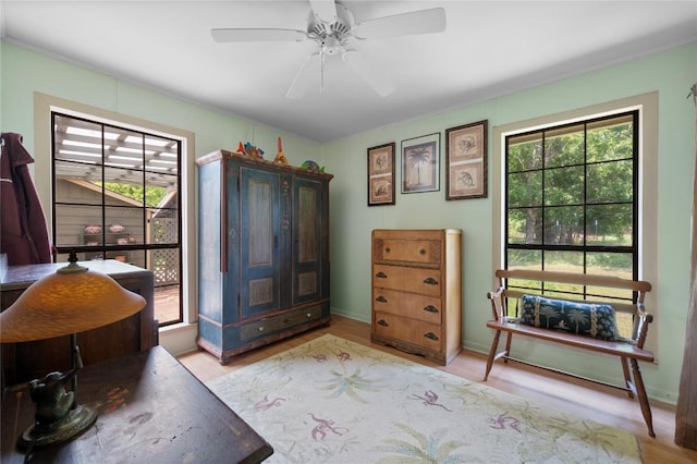 10908 Slaughter Creek Dr, Austin, TX 78748 - entrance foyer featuring a ceiling fan and light wood-style flooring
