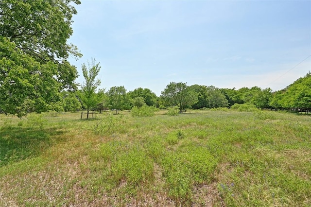 10908 Slaughter Creek Dr, Austin, TX 78748 - view of yard with a rural view