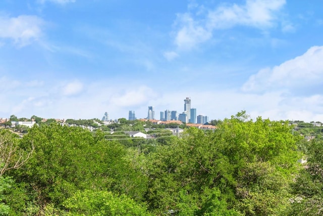 2450 Wickersham Ln Unit M1318, Austin, TX 78741 - city view