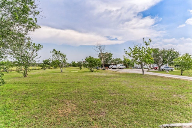 116 Hokanson Rd, Del Valle, TX 78617 - view of green lawn featuring driveway