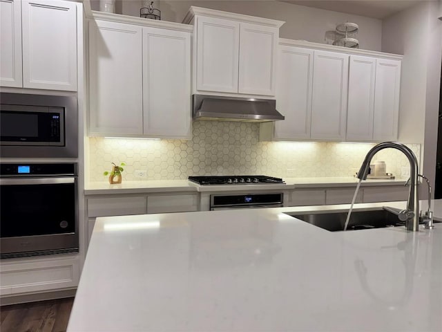 1162 Thicket Ln, New Braunfels, TX 78132 - kitchen featuring appliances with stainless steel finishes, exhaust hood, a sink, light countertops, and white cabinets