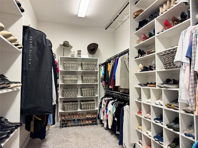 1162 Thicket Ln, New Braunfels, TX 78132 - spacious closet with carpet