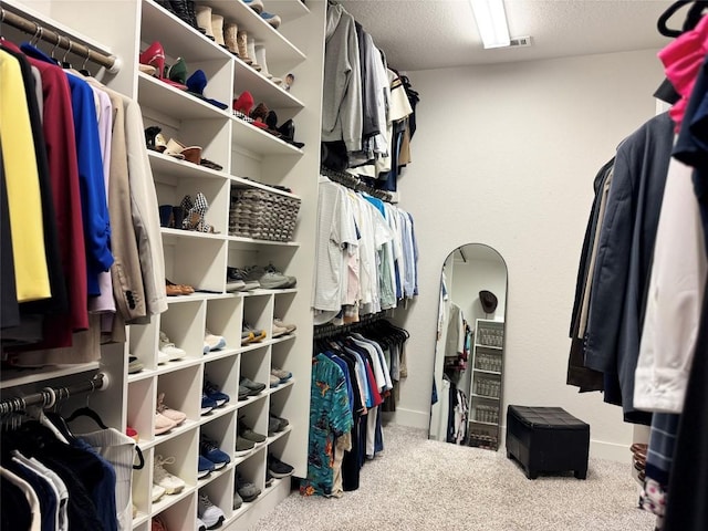 1162 Thicket Ln, New Braunfels, TX 78132 - walk in closet featuring carpet