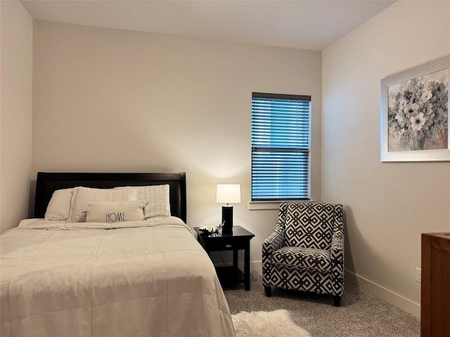 1162 Thicket Ln, New Braunfels, TX 78132 - bedroom with carpet floors and baseboards