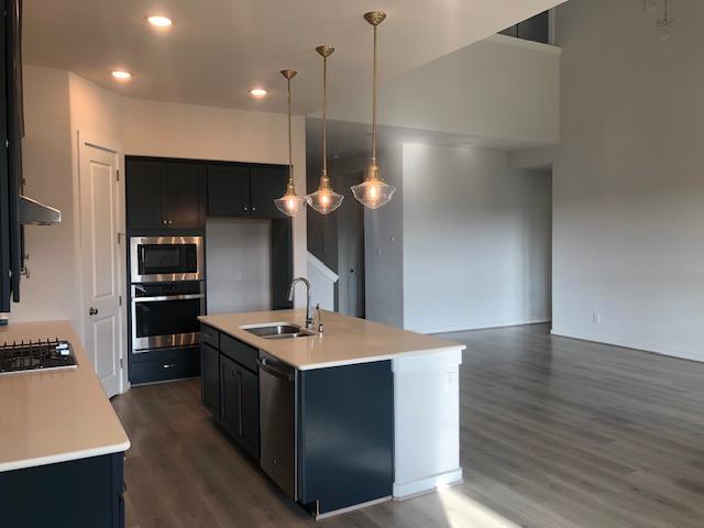 22617 Agave Grove Dr, Lago Vista, TX 78645 - kitchen featuring appliances with stainless steel finishes, dark wood-type flooring, recessed lighting, light countertops, and decorative light fixtures