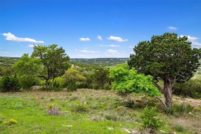 2808 Lakehurst Rd, Spicewood, TX 78669 - photo 3