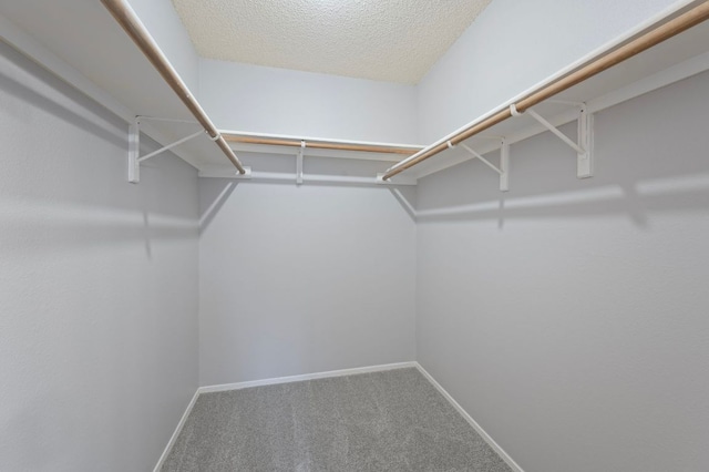 16901 Dashwood Creek Dr, Pflugerville, TX 78660 - spacious closet featuring carpet floors