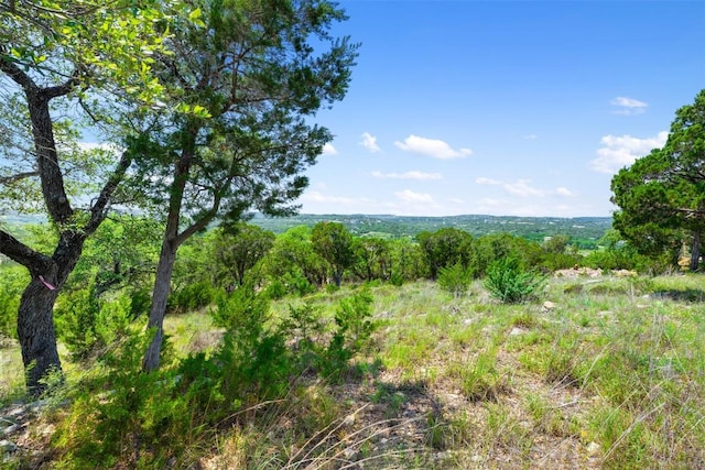 2804 Lakehurst Rd, Spicewood, TX 78669