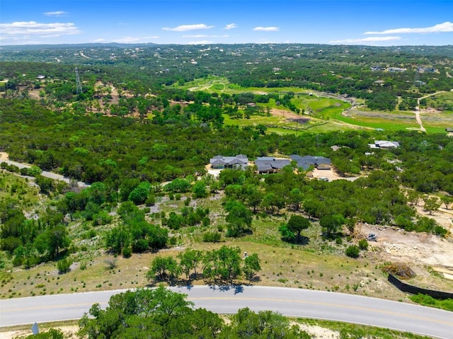 2804 Lakehurst Rd, Spicewood, TX 78669