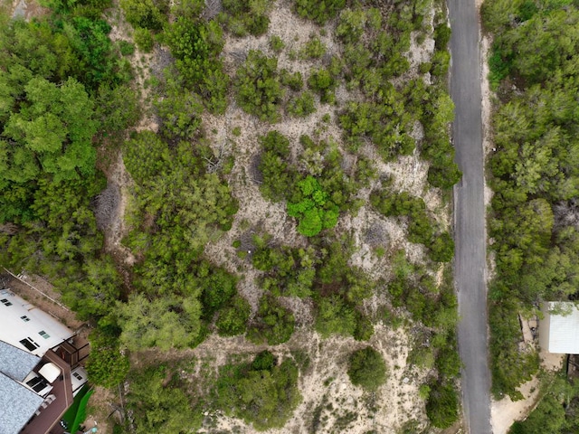 2300 Big Horn Dr, Austin, TX 78734