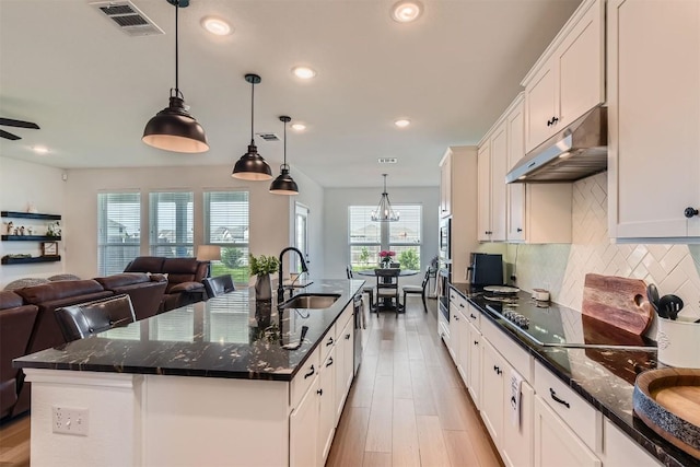 206 Monteforte Rd, Hutto, TX 78634 - kitchen featuring a sink, under cabinet range hood, open floor plan, healthy amount of natural light, and recessed lighting