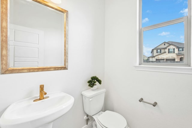 bathroom featuring a sink and toilet