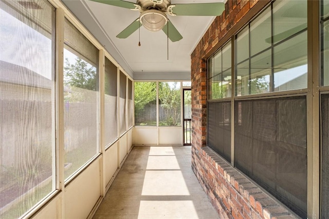 2317 Sycamore Trl, Round Rock, TX 78664 - photo 30