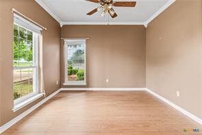 5012 Wildflower Ln, Temple, TX 76502 - unfurnished room with crown molding, a ceiling fan, and light wood-style flooring