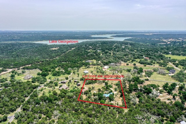 2809 Lost Oak Cv, Georgetown, TX 78628 - aerial overview of property's location featuring property parcel outlined