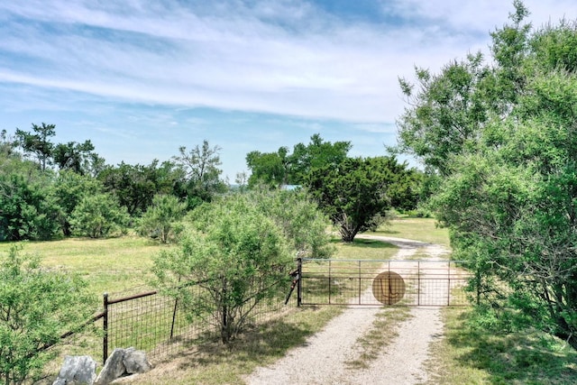 2809 Lost Oak Cv, Georgetown, TX 78628 - view of street with a gate