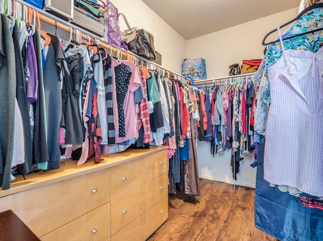 walk in closet featuring wood finished floors