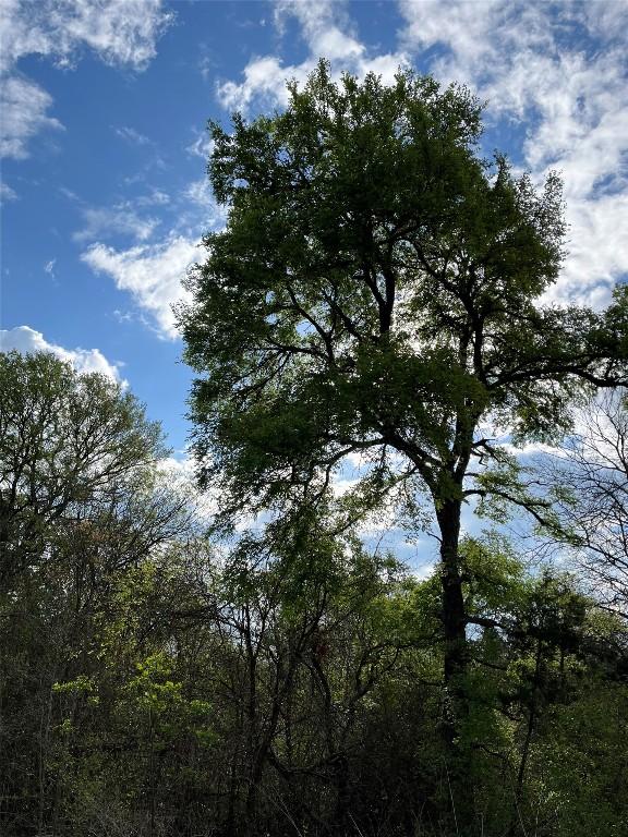 1620 San Gabriel Ranch Rd, Liberty Hill, TX 78642