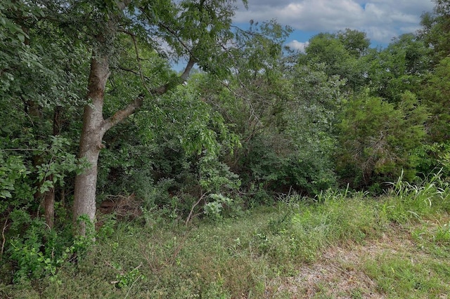 1620 San Gabriel Ranch Rd, Liberty Hill, TX 78642