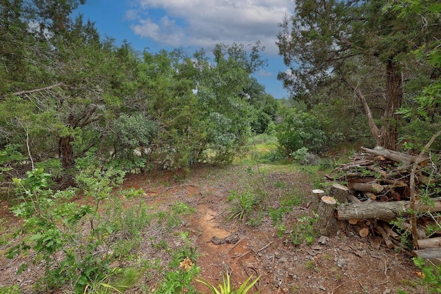 1620 San Gabriel Ranch Rd, Liberty Hill, TX 78642