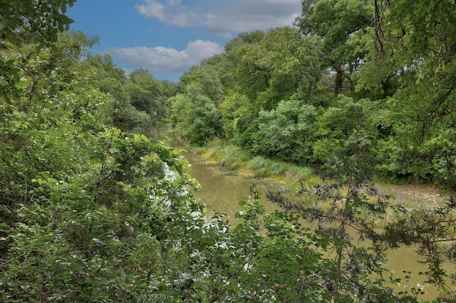 1620 San Gabriel Ranch Rd, Liberty Hill, TX 78642