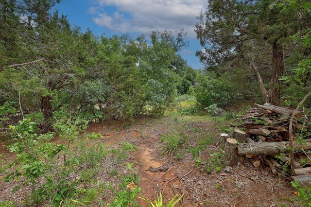 1614 San Gabriel Ranch Rd, Liberty Hill, TX 78642