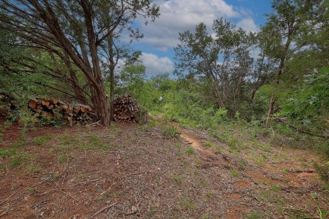 1614 San Gabriel Ranch Rd, Liberty Hill, TX 78642