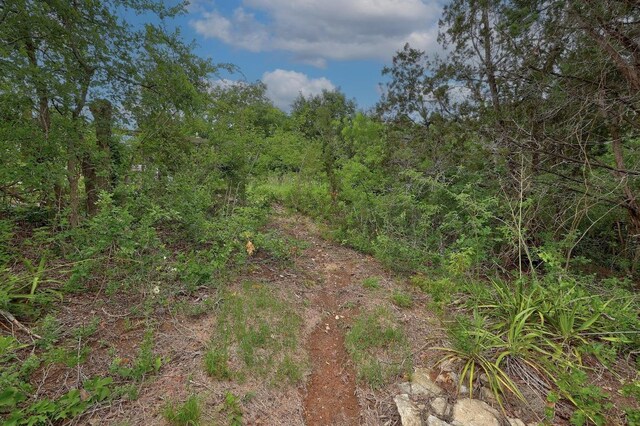 1614 San Gabriel Ranch Rd, Liberty Hill, TX 78642