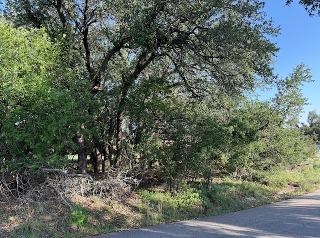 4209 Rockwood Dr, Lago Vista, TX 78645