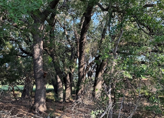 4209 Rockwood Dr, Lago Vista, TX 78645